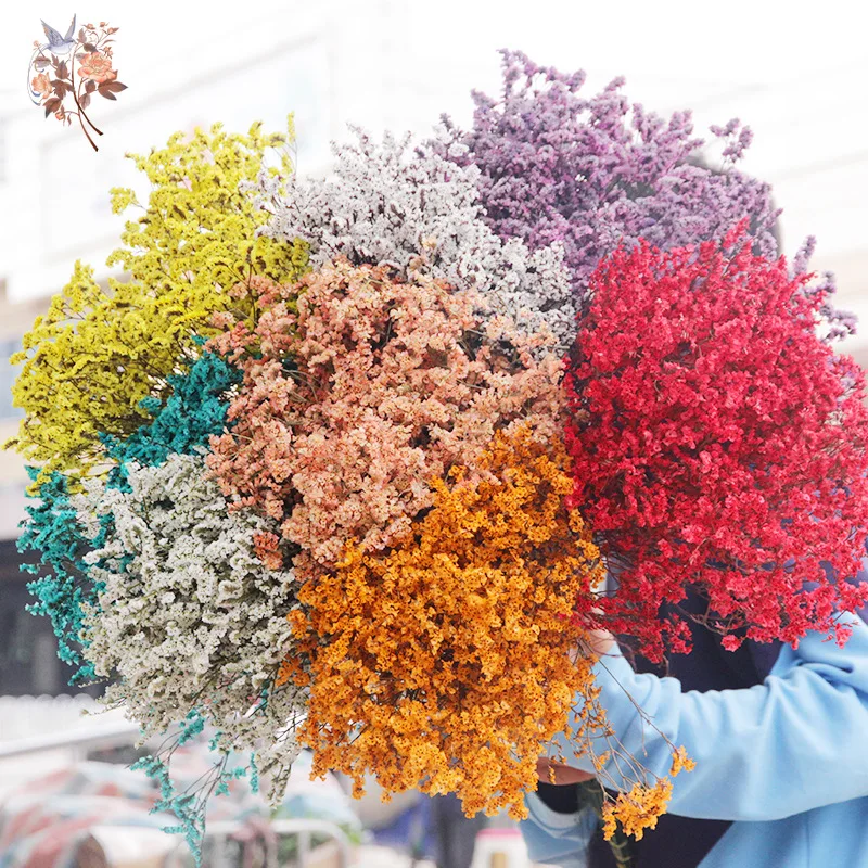 Dried Flower Bulk - Flores secas, ramos de hierba de