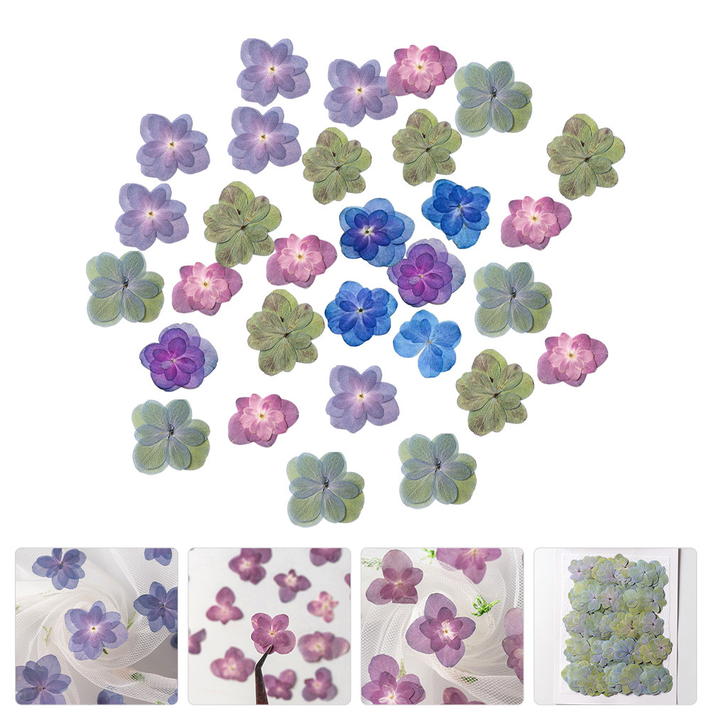 Dried Flower Bulk - 30 piezas de flores secas multicolores