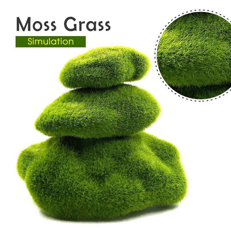 Plantas de musgo de espuma de  - Terrarium Moss Art reseña y precio