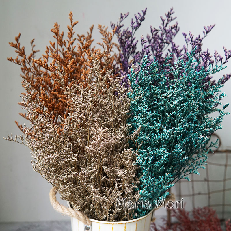 70g/Flor de Limonium Preservad - Dried Flower Bulk reseña y precio