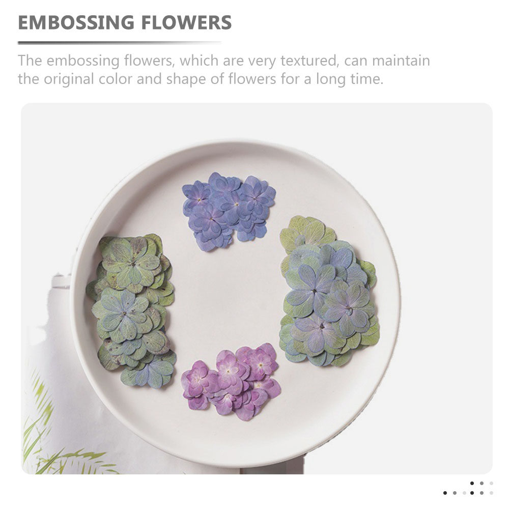 30 piezas de flores secas mult - Dried Flower Bulk reseña y precio