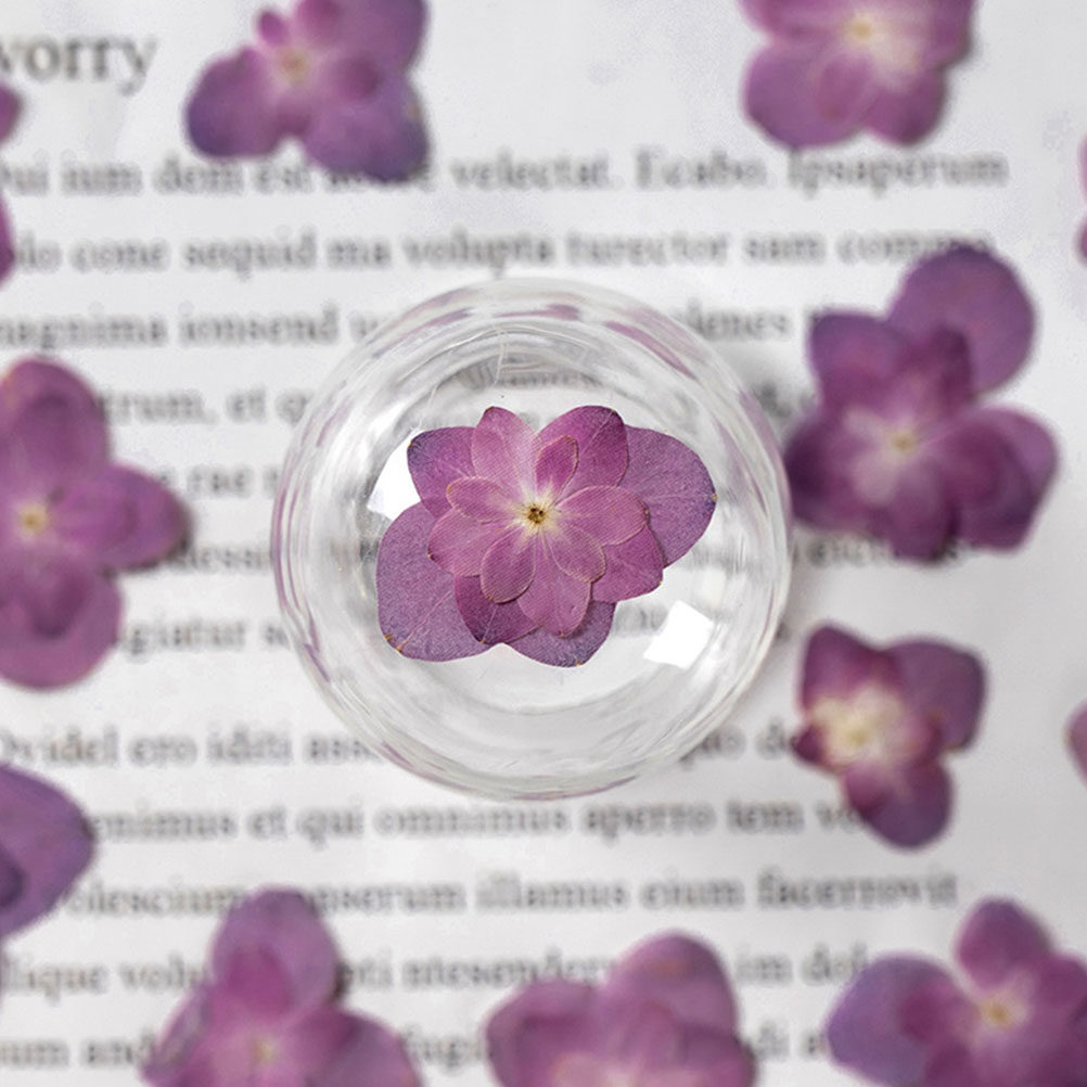 30 piezas de flores secas mult - Dried Flower Bulk reseña y precio