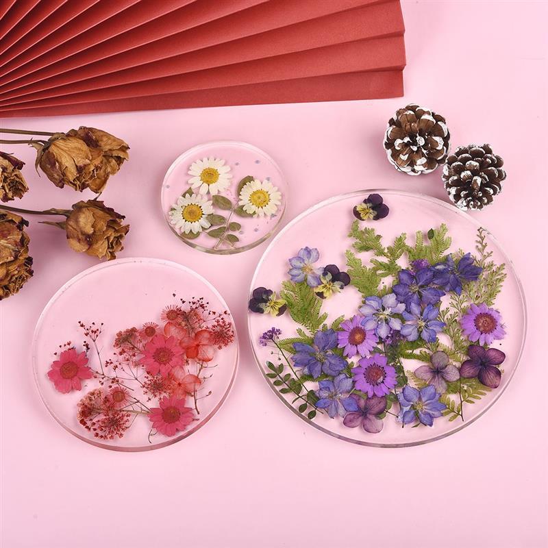 Base de posavasos con forma re - Coaster Mold Round reseña y precio
