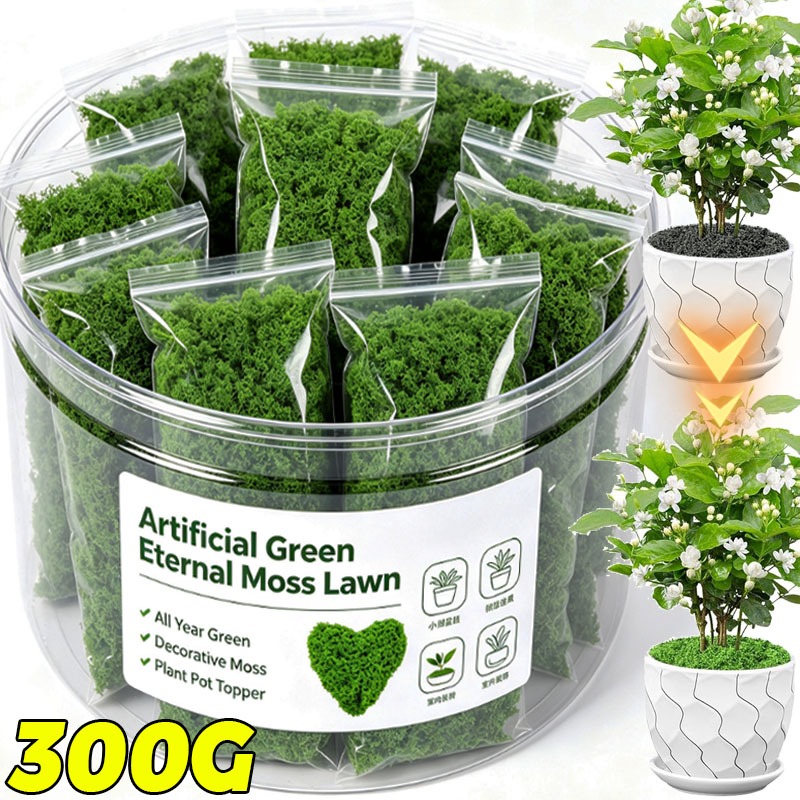 Plantas Verdes Artificiales, M - Terrarium Moss Art reseña y precio